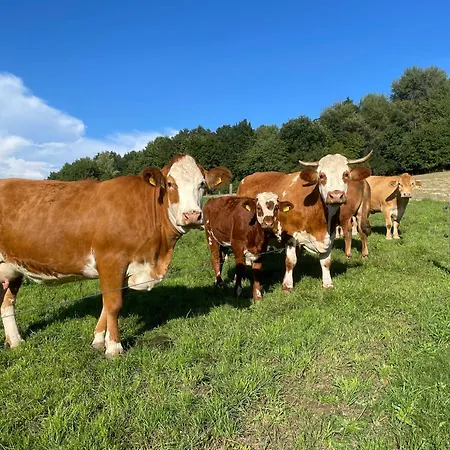 Lejlighed Weinfurtner Bruck in der Oberpfalz